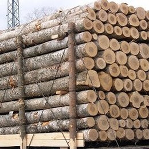 崇明进口木材清关会产生的费用
